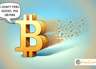 Gemini Creditors Bitcoin Holdings Could Vanish in Part