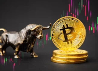 Bitcoin Price Speculation: $100K Hopes Spike As BTC Nears $50K
