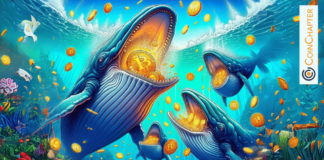 BTC Accumulation of $1.7B Driven by Bitcoin Halving FOMO Among Whales