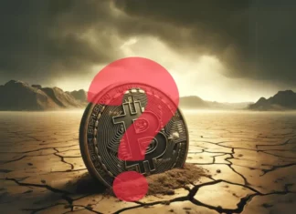 Bitcoin Price Could Drop To $30K, Whales Only Hope Against Bearish Fate