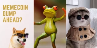Memecoin Frenzy Coming To An End. Time to ACTUALLY Dump DOGE, PEPE?