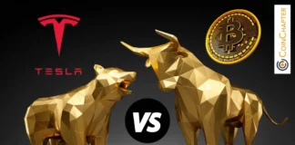 Tesla vs. Bitcoin: Elon Musk’s Stock is Severely Underperforming in 2024