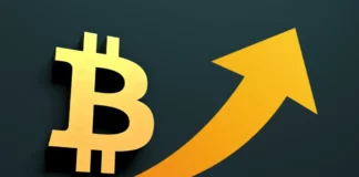 Bitcoin Price Support Test: Will It Trigger a Fresh Rally Despite Resistance?