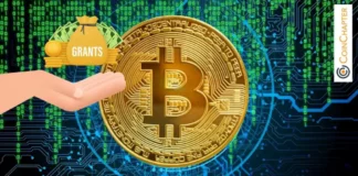 Arthur Hayes’ Maelstrom Unveils Bitcoin Grant Program: Up to $250K Per Developer