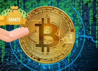 Arthur Hayes’ Maelstrom Unveils Bitcoin Grant Program: Up to $250K Per Developer