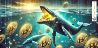 Mt. Gox Preparing to Repay Bitcoin Creditors