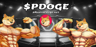 Physical Doge (PDOGE) Opens Multi-Round Presale Targeting Early Supporters
