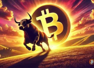 Bitcoin (BTC) Reclaims 50-DSMA: Can It Maintain and Spark a Rally?