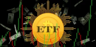 Nasdaq and NYSE Hit Pause on Bitcoin (BTC) ETF Options, Causing Market Uncertainty