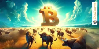 Why Bitcoin (BTC) Price Could Slip Again Before a New Bullish Run