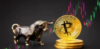 Bitcoin (BTC) Price Nears Critical Point as Halving Cycle Hints at Upcoming Bull Run