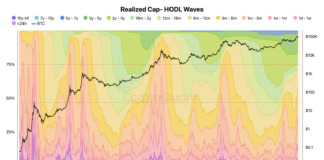 New Bitcoin Investors Surge As BTC Price Eyes $100K Retest