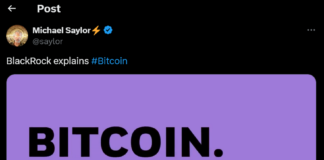 Is Wall Street Gaining Too Much Control Over Bitcoin?