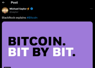 Is Wall Street Gaining Too Much Control Over Bitcoin?