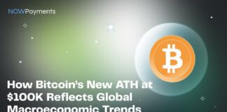 Bitcoin Reaches New Heights: Businesses Gear Up for the Crypto Boom with NOWPayments