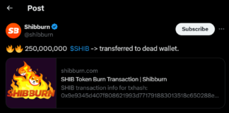 Shiba Inu, PEPE, DOGE: Meme Coins Poised for Explosive Breakouts