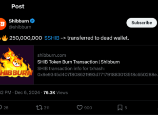 Shiba Inu, PEPE, DOGE: Meme Coins Poised for Explosive Breakouts