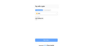NOWPayments Introduces New Payment Widget as a New Year Gift for Merchants