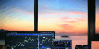 Top 5 Ways How Delta Exchange Minimizes Risks in Crypto Derivatives Trading